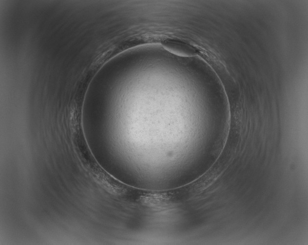 X0000084560079200702231243