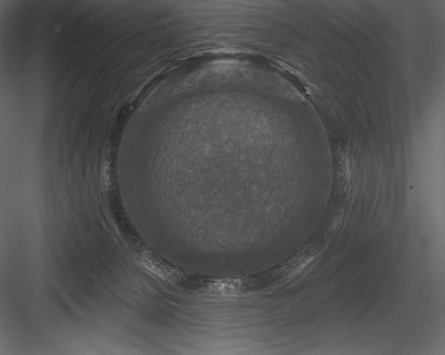 X0000084560080200702231243