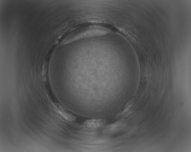 X0000084560082200702231243
