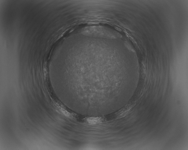 X0000084560085200702231243