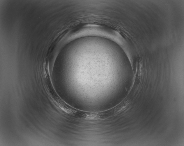 X0000084560088200702231243