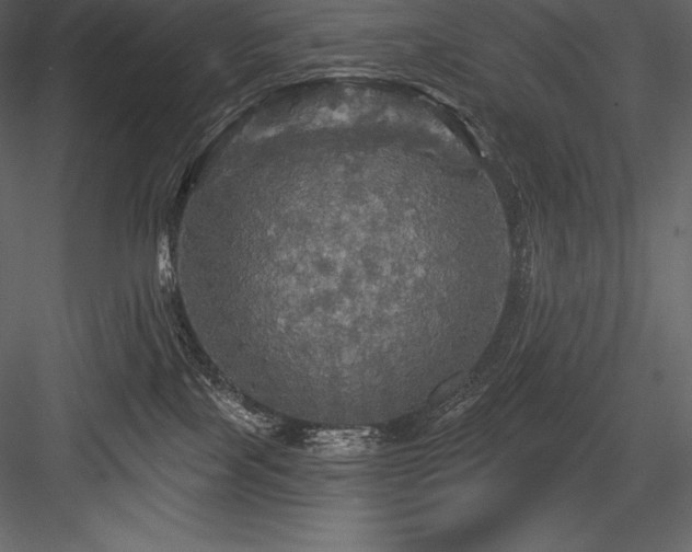 X0000084560089200702231243