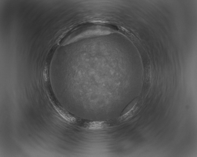 X0000084560090200702231244