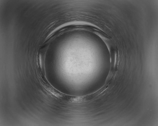 X0000084560092200702231244