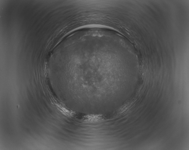 X0000084560093200702231244