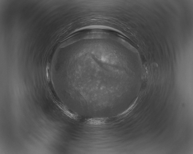 X0000084560094200702231244