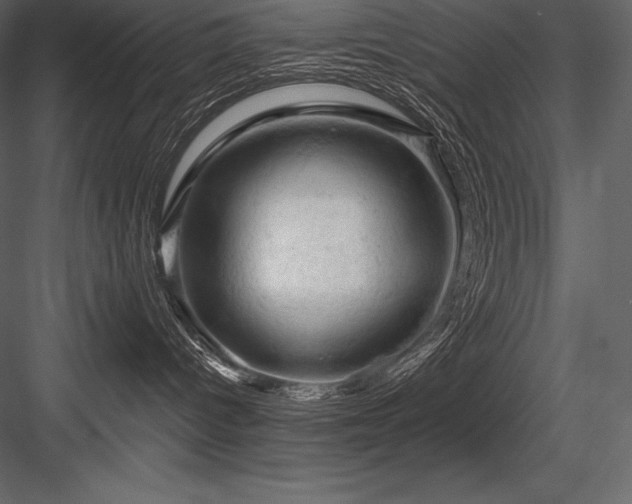 X0000084560096200702231244