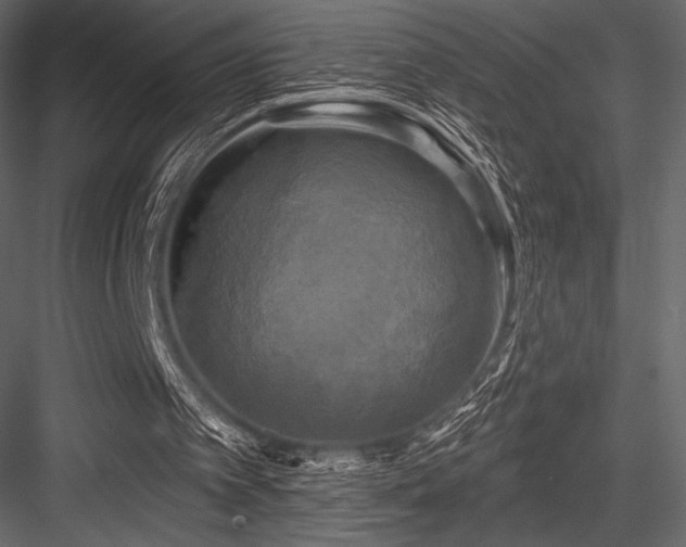 X0000084560097200702231243