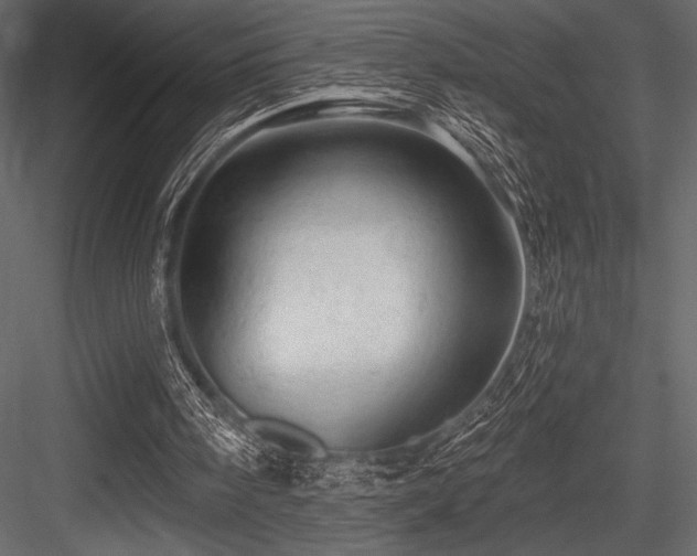 X0000084560098200702231243