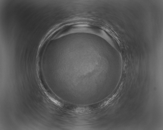 X0000084560101200702231243