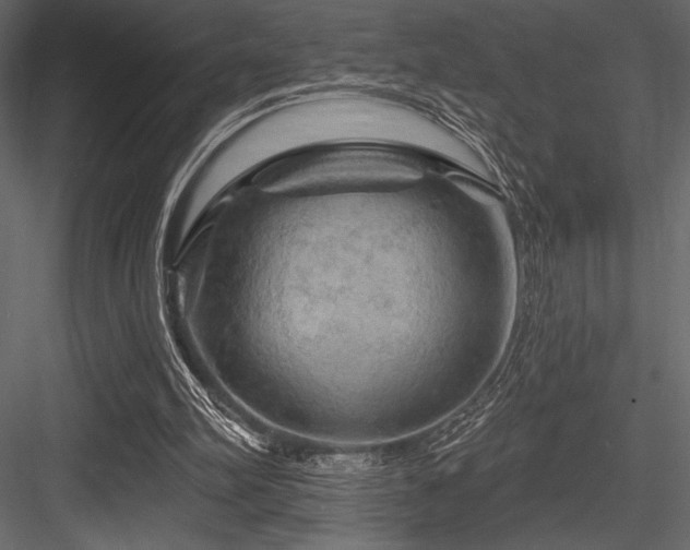 X0000084560102200702231243