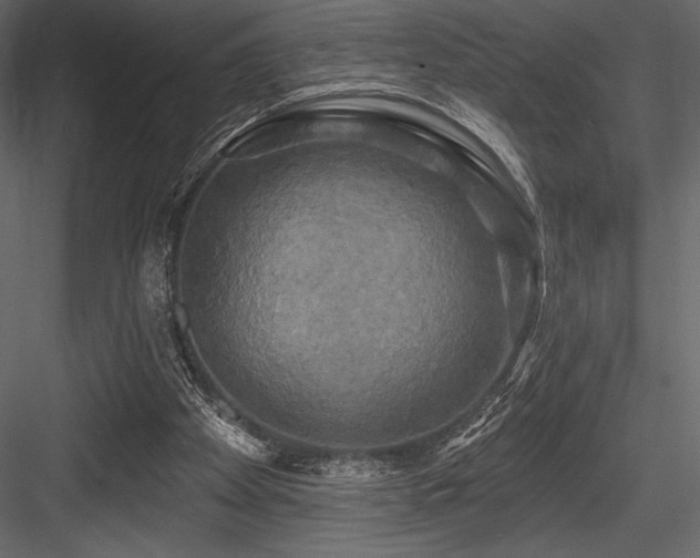 X0000084560105200702231243