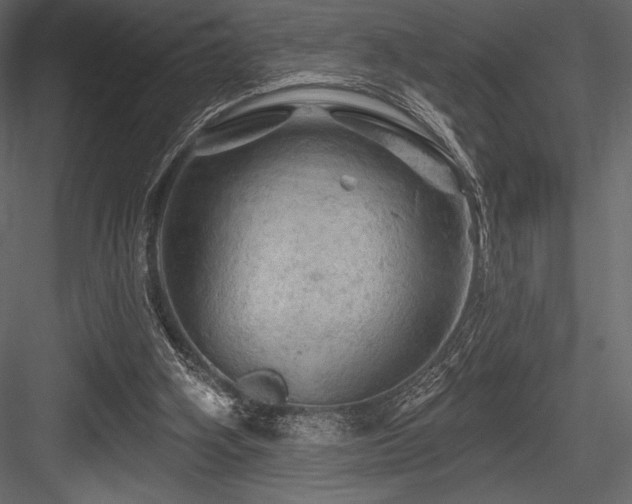 X0000084560106200702231243