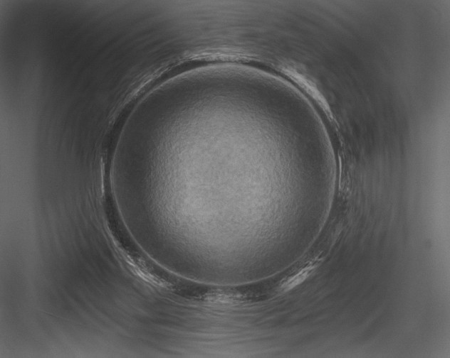 X0000084560109200702231243