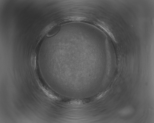 X0000084560110200702231243