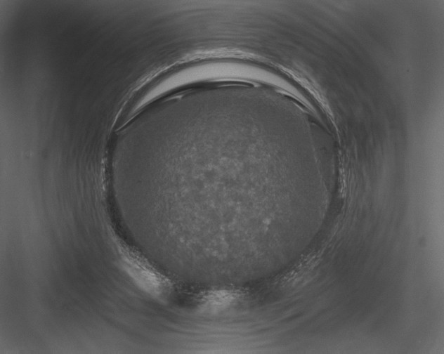 X0000084560111200702231243