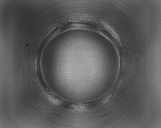 X0000084560113200702231243