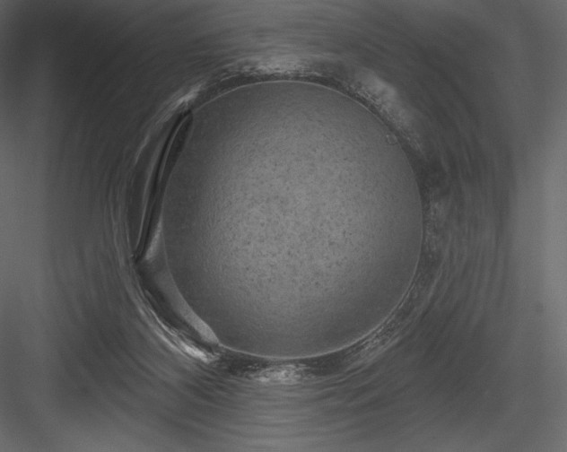X0000084560116200702231242