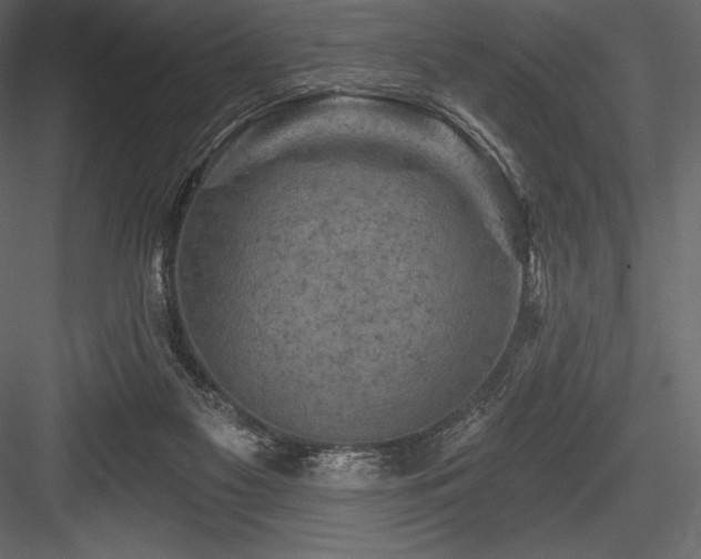 X0000084560117200702231242
