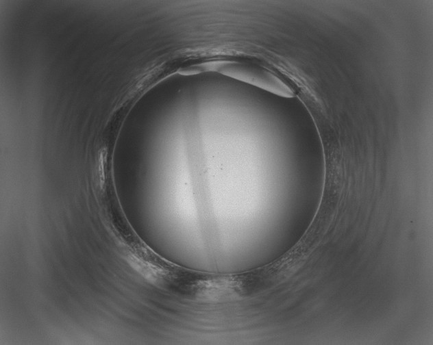 X0000084560118200702231242