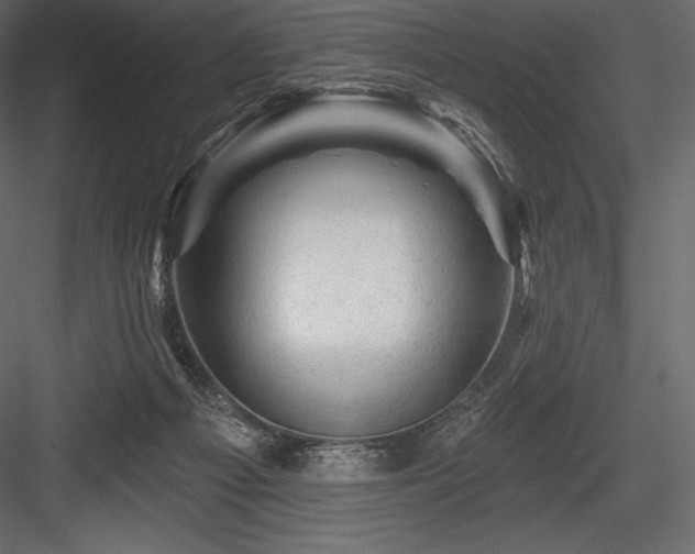 X0000084560121200702231242