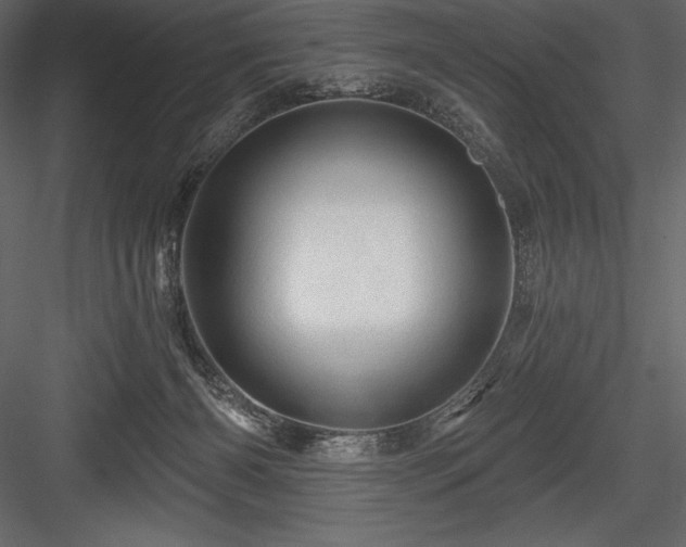 X0000084560126200702231242