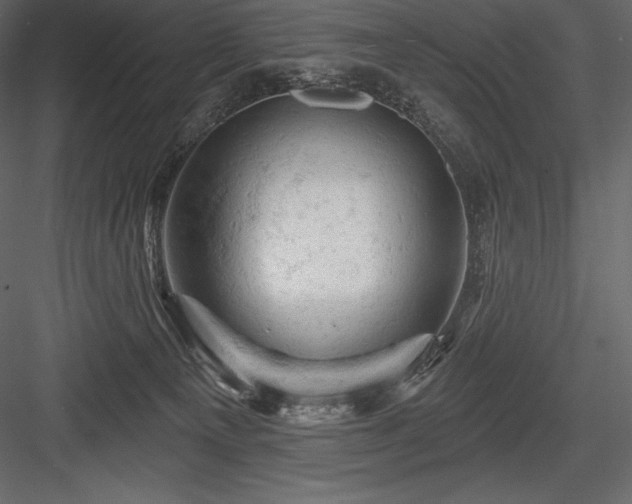 X0000084560129200702231242