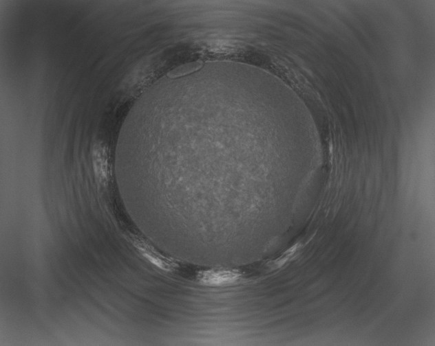 X0000084560135200702231242