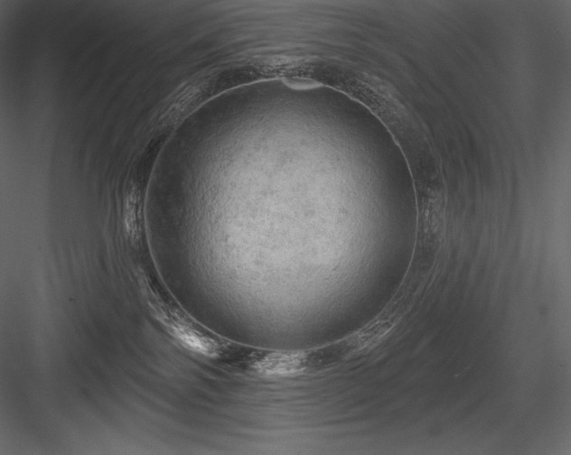 X0000084560138200702231242
