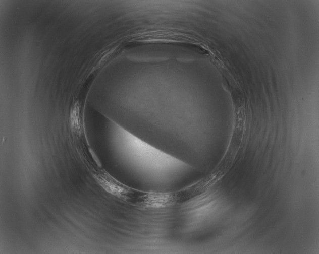 X0000084560143200702231242