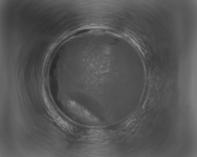 X0000084560145200702231241