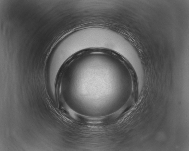 X0000084560146200702231241