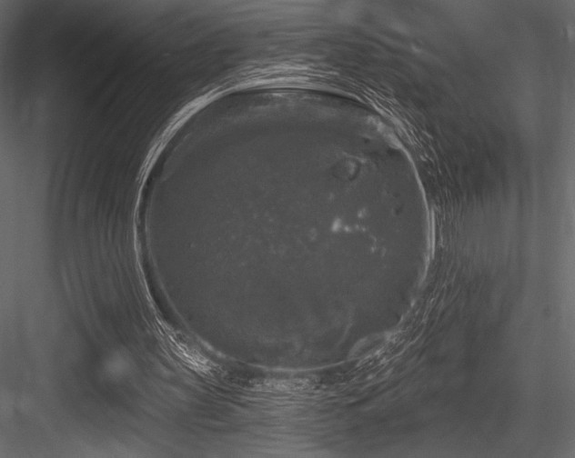 X0000084560147200702231241