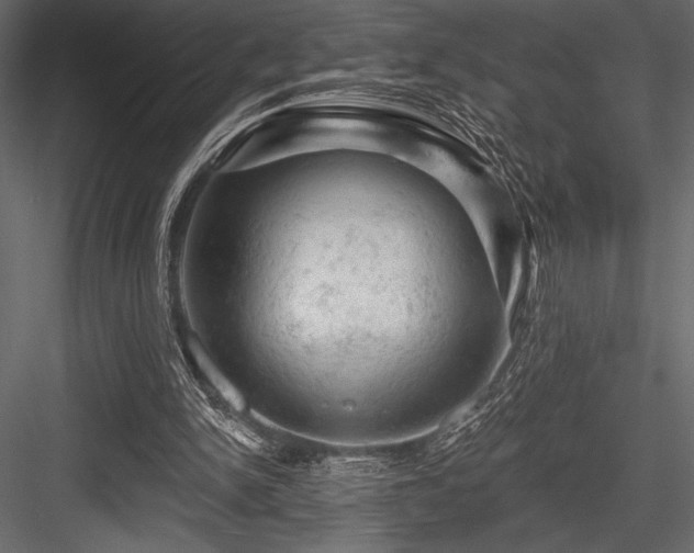 X0000084560150200702231241