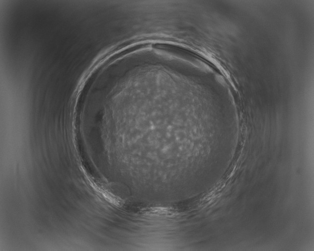 X0000084560151200702231241