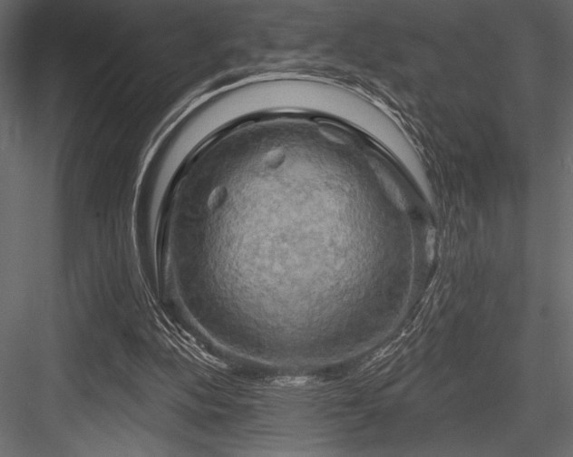 X0000084560152200702231241