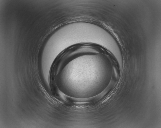 X0000084560154200702231241
