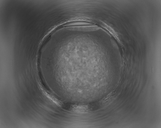 X0000084560155200702231241