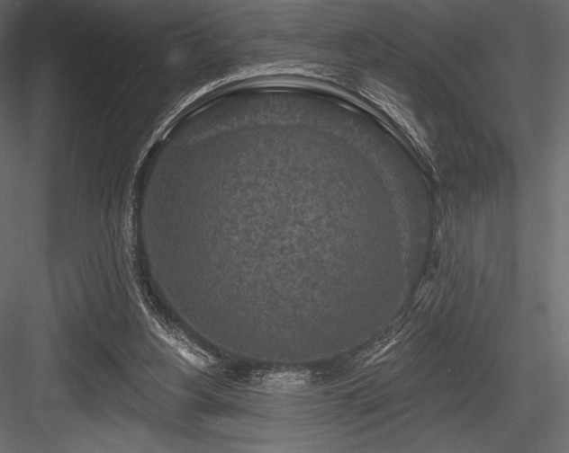 X0000084560156200702231241