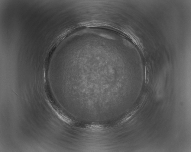 X0000084560157200702231241