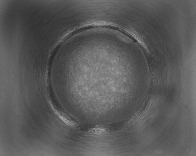 X0000084560159200702231241