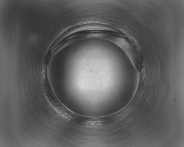X0000084560160200702231241