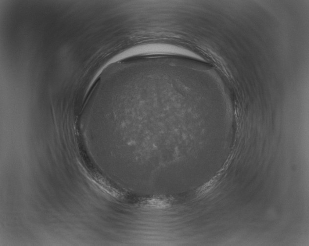 X0000084560166200702231241