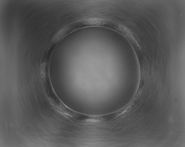 X0000084560167200702231242