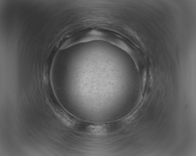X0000084560170200702231242