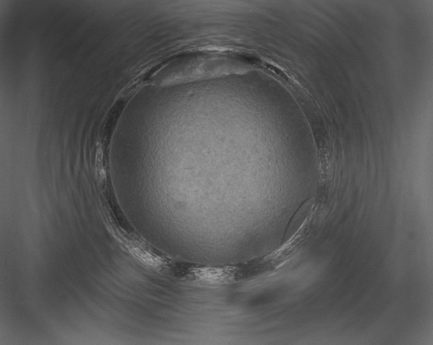 X0000084560187200702231242