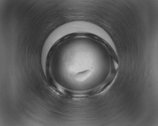X0000084560190200702231242