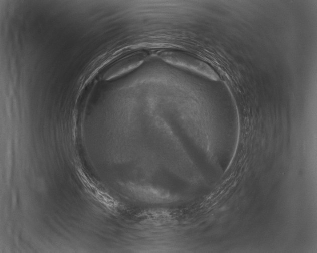 X0000084560194200702231241