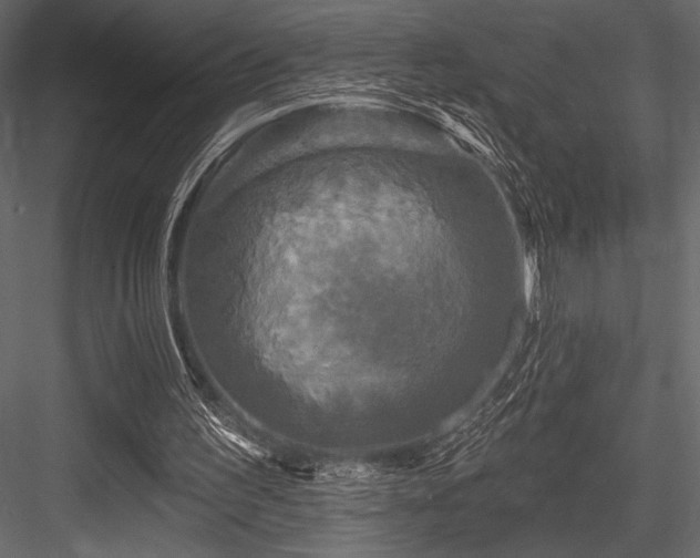 X0000084560195200702231241