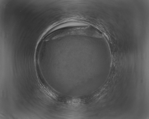 X0000084560196200702231241